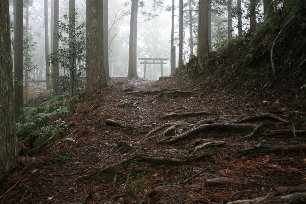Watarase Onsen Hotel Yamayuri Hongu Bagian luar foto